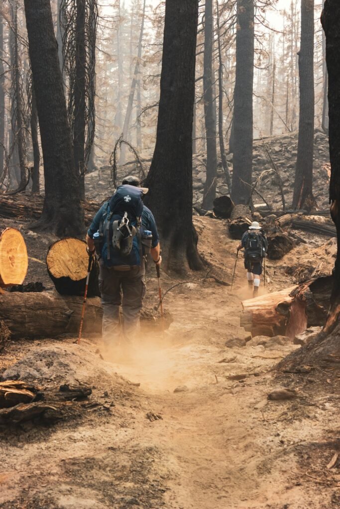 pexels-photo-1365427-1365427 Two hikers navigating a charred forest path after a wildfire in McKenzie Bridge, Oregon.